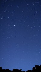 Wall Mural - starry night sky