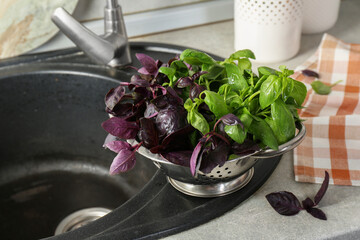 Metal colander with different fresh basil leaves on sink