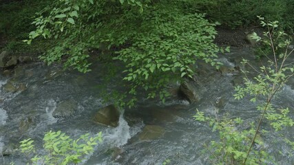 Wall Mural - Beautiful landscape of clear water flowing by the waterfall in the river, Environment or nature, Nobody	