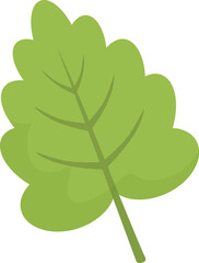 Poster - Simple green leaf is growing with veins showing for a spring or nature concept