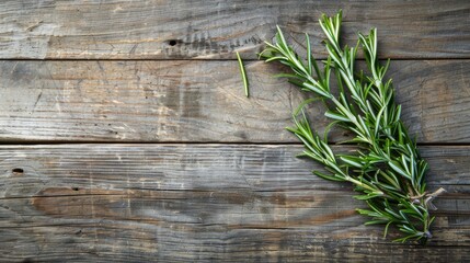 Wall Mural - Fresh rosemary branch on wooden background with room for text