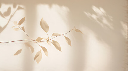 Wall Mural -  Beautiful texture of beige brown luxury, smooth stucco wall with soft foliage dappled light of tropical tree leaf shadow 