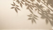 © Five Million Stock - Beautiful texture of beige brown luxury, smooth stucco wall with soft foliage dappled light of tropical tree leaf shadow