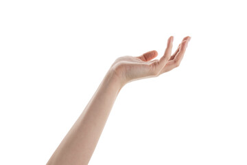 Wall Mural - female hand hold something isolated on white