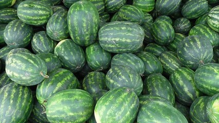 Canvas Print - A pile of striped watermelons