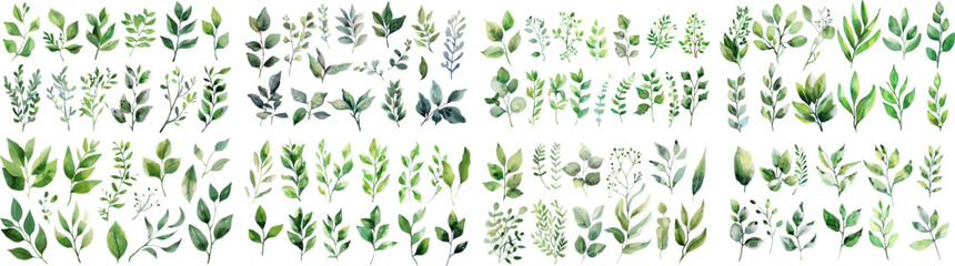 Wall Mural - Green watercolor leaves on isolated background	