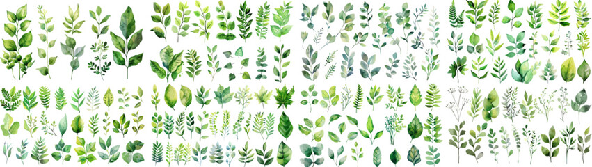 green watercolor leaves on isolated background
