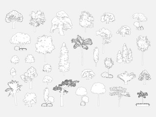 Big set of tree silhouette, Vector illustration in stroke fill in white. 