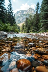 Wall Mural - A clear mountain stream with pebbles, with a soft background of tall pines and rugged terrain.