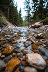 Wall Mural - A clear mountain stream with pebbles, with a soft background of tall pines and rugged terrain.