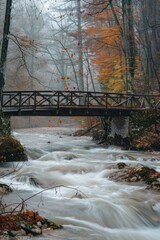 Wall Mural - A scenic bridge spanning a flowing river, with a soft background of a forest.