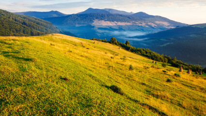 Sticker - mountainous countryside in summer. carpathian rural landscape of ukraine. haystacks on the grassy farm field. beautiful rolling scenery in morning light