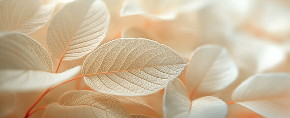 Wall Mural - Close up of a leafy plant with a white and gold color scheme.Soft and serene composition.