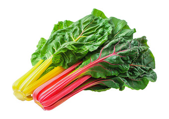 Sticker - Freshly harvested bunch of rainbow chard with green leaves and colorful stalks, cut out - stock png.