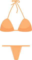 Orange bikini top tied with string and bottom isolated on a white background