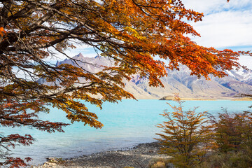 Wall Mural - Autumn in mountains