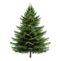 Aufkleber - clear image of a vibrant christmas tree without background, ideal for holiday-themed projects