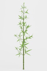 Wall Mural - Realistic 3D Render of Bamboo Plant