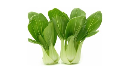 Bok choy on white background