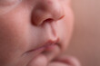 © natrocfort - Newborn human baby tiny little lips mouth