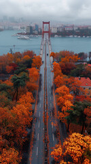 Poster - traffic in Autumn city skyline at sunset