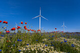 farma wiatrowa w kwiatach