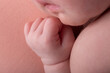 © natrocfort - Tiny little hands newborn human baby parenting motherhood
