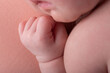 © natrocfort - Tiny little hands newborn human baby parenting motherhood