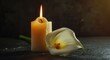 © Olena - Grief Death. Burning candle and white calla lily on dark background. Memorial sympathy card design
