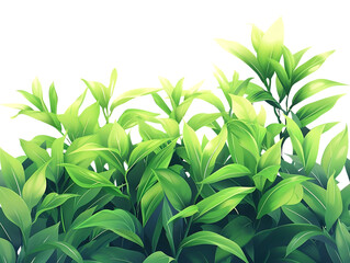 Wall Mural - Vibrant Green Leaves Illustration