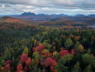 Poster - Adirondack Mountains Autumn Aerial Photography