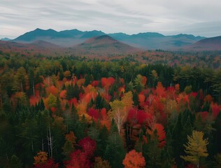 Poster - Adirondack Mountains Autumn Aerial View