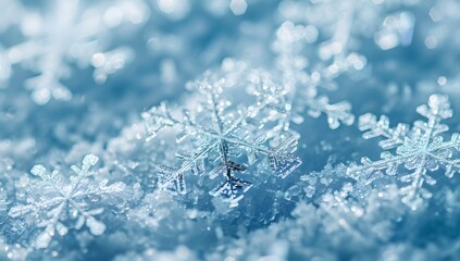 Sticker - Delicate Snowflakes Close-up on Blue Background