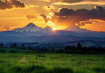 Sticker - Golden Hour Sunset Over Mount Hood National Forest