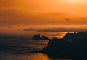 Canvas Print - Aerial View of Sunset Coastline with Birds