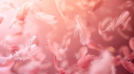 Poster - An angled view captures a flurry of feathers caught in midair bathed in warm pink light