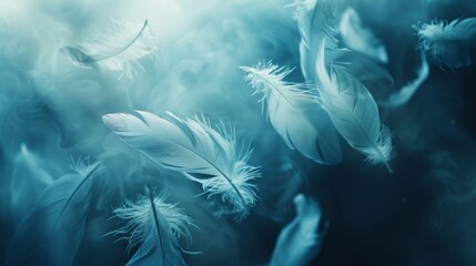 Poster - White feathers drift through the air, illuminated by a soft, cool blue light. The image evokes a sense of tranquility and serenity