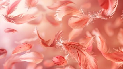 Poster - A close-up, angled shot of numerous delicate pink feathers floating in the air against a warm pink background