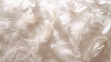 Poster - A commercial photograph showcasing the ethereal beauty of white feathers floating gently through the air