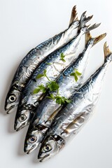 Four Freshly Caught Mackerel Fish