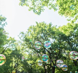 Wall Mural - soap bubbles in the sky