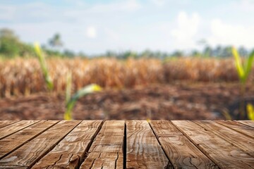 Wall Mural - Blurry cassava field background with wooden table top in daylight Ideal for product display or design layout with copy space