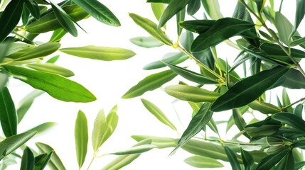 Poster - A detailed view of lush green foliage with intricate leaf details