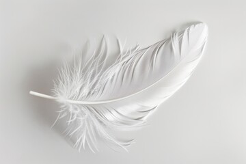 Poster - A single white feather lying flat on a white surface