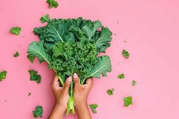 Wall Mural - A person is holding a bunch of green leaves, possibly kale, in their hand. The leaves are scattered on a pink background, creating a vibrant and healthy atmosphere