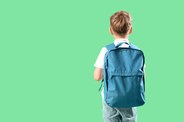 Wall Mural - Little schoolboy with blue backpack on green background, back view