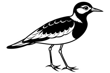 Wall Mural - lapwing silhouette vector illustration