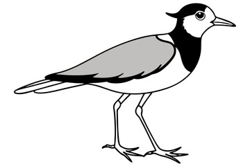 Wall Mural - lapwing silhouette vector illustration