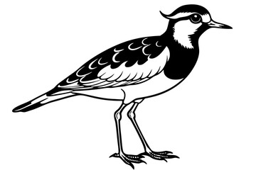 Wall Mural - lapwing silhouette vector illustration