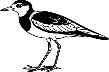 Wall Mural - lapwing silhouette vector illustration